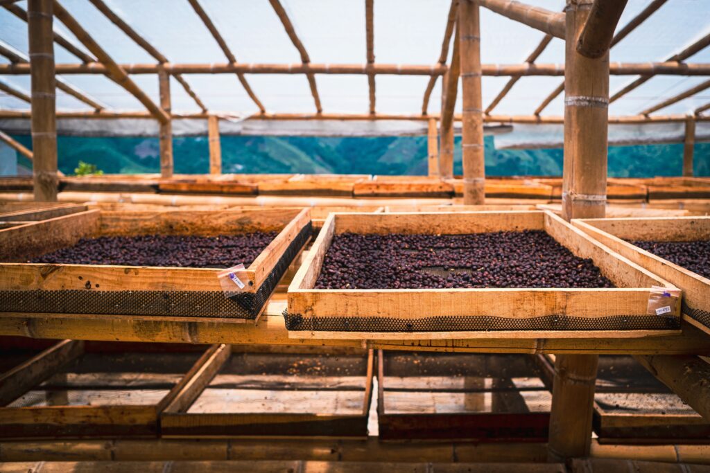 dimitry-b-VwG92UTKDGc-unsplash-1024x683 Café colombiano crece con sus exportaciones: ¿a dónde llega?