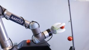 Robot de Amolf