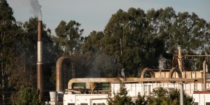 WhatsApp-Image-2026-01-06-at-10.52.17-AM-rh9i36j9vllehw8rbr4f1h0e6fph1zf3lr5u0y07oc Home