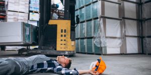 WhatsApp Image 2026-02-16 at 5.33.03 PM