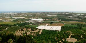 WhatsApp Image 2026-04-23 at 11.18.19 AM