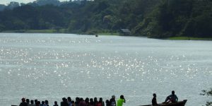 amazonia-referencia-octubre-2026-scaled-rvinitguh673v596l0vjqiza3a9qq9k4y52wat6cbg Home